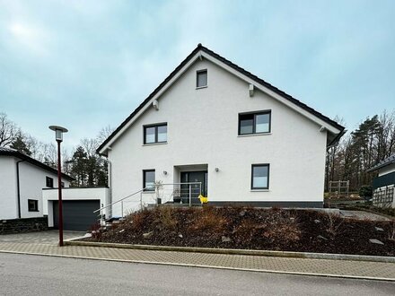 Großes, modernes Einfamilienhaus in schöner Wohngegend