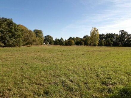 LANDWIRTSCHAFTLICHE NUTZFLÄCHE / ACKER ,GRANSEE/OT. ZIEGELSCHEUNE