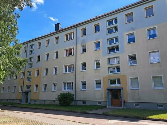 Helle 3 - Raum - Wohnung in Kromsdorf