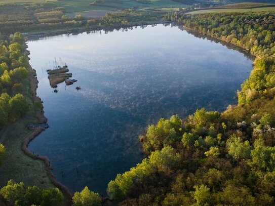 Unberührtes Naturwunder in Ungarn-Privater Badesee mit Wald, Wiese und bebaubarem Grundstück-112 Hektar