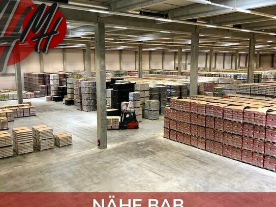 KEINE PROVISION - RAMPE + EBEN - Lager-/Logistik (8.000 m²) & optional Büro (100 - 2.000 m²) zu vermieten