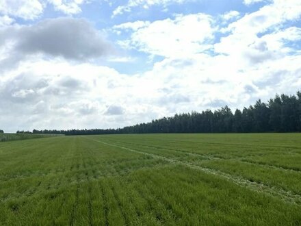 Ca. 26 ha landwirtschaftliche Flächen, größtenteils Grünland, in Hambergen, Vollersode/ Landkreis Osterholz