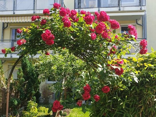 Schöne voll möblierte Wohnung mit Garten in Augsburg