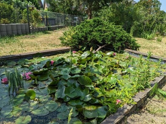 Charmantes Baugrundstück in Potsdams Bestlage mit altem Haus