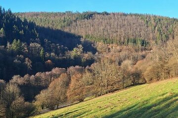 Voll erschlossenes & teilbares Baugrundstück in Eberbach - Friedrichsdorf !