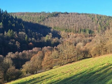 Voll erschlossenes & teilbares Baugrundstück in Eberbach - Friedrichsdorf !