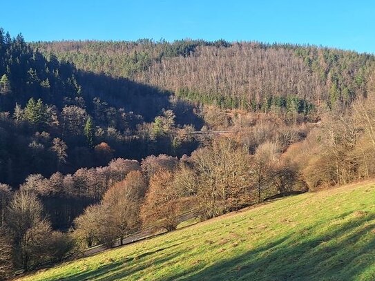 Voll erschlossenes & teilbares Baugrundstück in Eberbach - Friedrichsdorf !