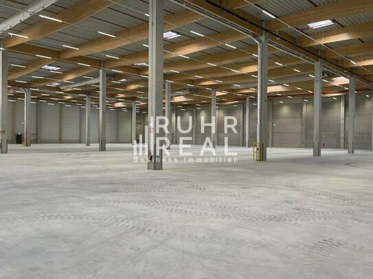 Neubau in Bielefeld ab sofort verfügbar | Rampen | 10,30 m UKB | RUHR REAL