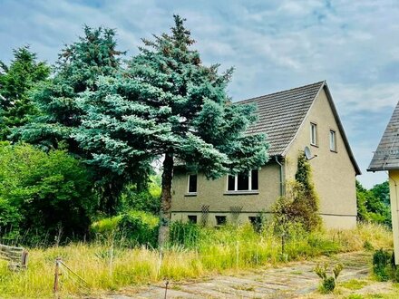 Einfamilienhaus in Elbnähe zu kaufen