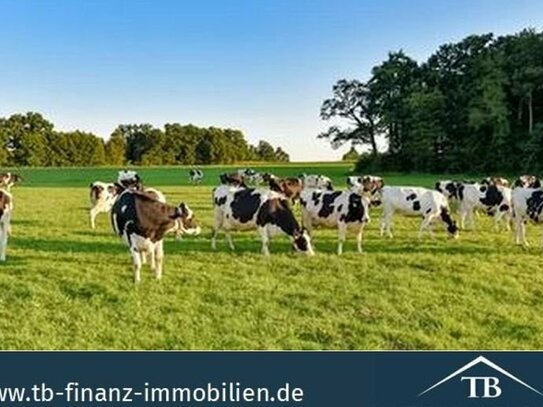 GESUCH: Landwirtschaftliche Fläche im Landkreis Aurich