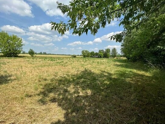 Falkenhain (Altenburger Land)