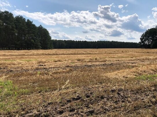 Ackerfläche im LKR Elbe-Elster 6,8 ha