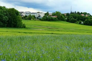 DAS PERFEKTE GRUNDSTÜCK MIT SÜDAUSRICHTUNG UND BLICK IN DIE FREIE NATUR!