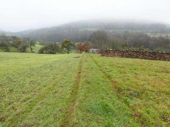 GANESHA-IMMOBILIEN...landwirtschaftliche Ackerfläche in Höhenlage zu verkaufen !