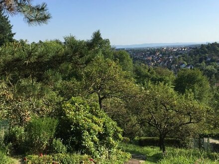 Romantisches Garten Paradies in Esslingen komplett eingezäunt mit Hütte in himmlischer Aussichtslage