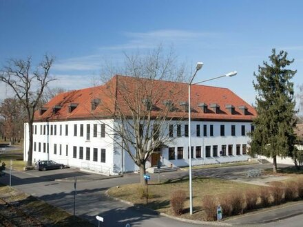 Lichtdurchflutete kleine Büroeinheiten - zentrale Lage zu vermieten