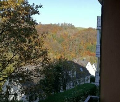 Gepflegte Souterrain-Whg. mit toller Aussicht und Balkon - Privatverkauf