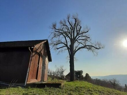 Sonniges Gartengrundstück - herrliche Aussicht & viel Platz