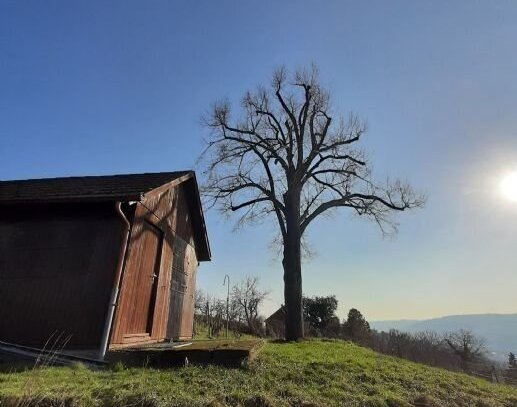 Sonniges Gartengrundstück - herrliche Aussicht & viel Platz