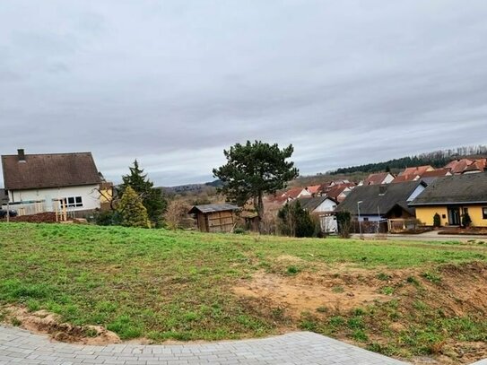 Bauplatz für eine Doppelhaushälfte