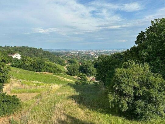 Wunderschöne Eigentumswohnung mit Blick über Radebeul bis nach Dresden am Paradiesberg