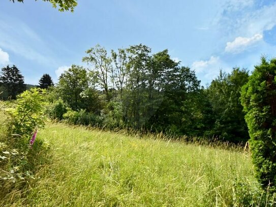 Großes, sonniges Baugrundstück mit vielseitigen Bebauungsmögichkeiten in Oberreifenberg