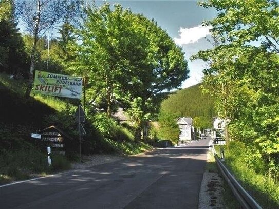 Freizeitgrundstück/Waldgrundstück in Hanglage direkt am Ortsausgang von Lauscha