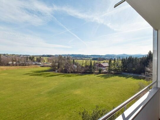 Großzügiges 1-Zimmer-Apartement mit Blick ins Grüne