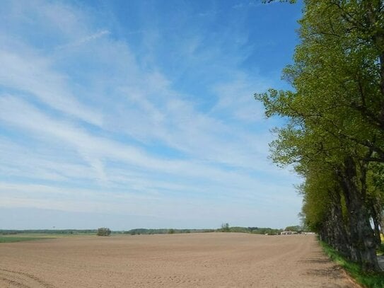 Traumhafte Lage: 8.500 m² Baugrund im Süden von Schwerin