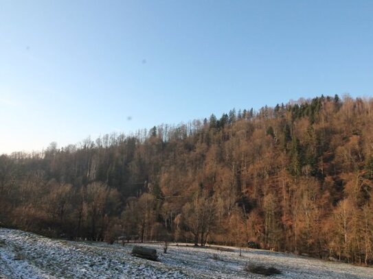 Obernzell: 35.684 m² landwirtschaftliche Nutzfläche - Wiese - ideal auch als Ausgleichsfläche