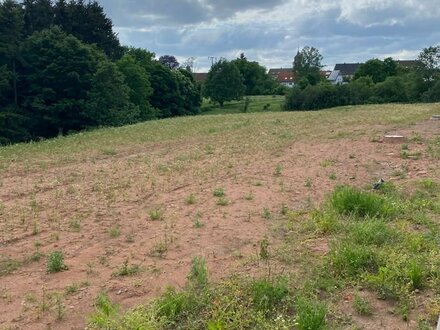 Grundstück zu verkaufen. Südwest-Lage. Waldrand. Neubaugebiet. Luftkurort