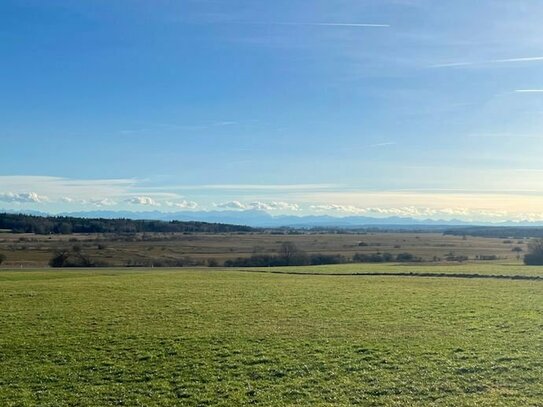 Sonniges Grundstück Nähe Grafrath zu verkaufen