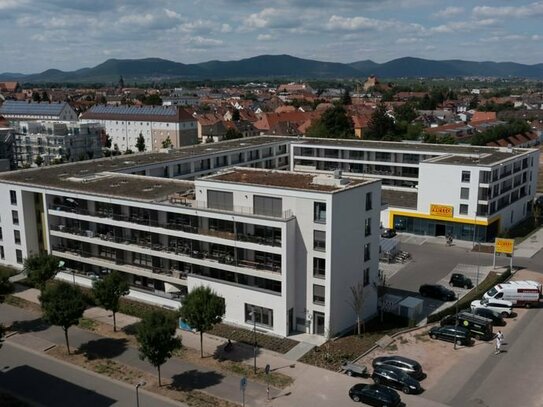 Moderne Wohnung in Landau