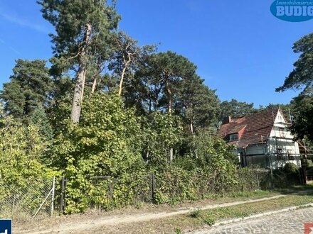 Bauträgerfreies Grundstück in grüner Umgebung