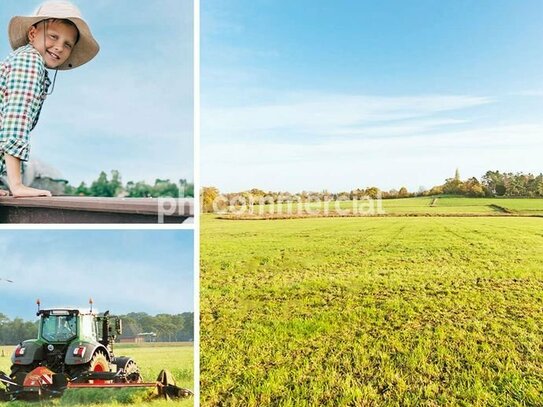 PHI AACHEN - Über 4 Hektar Land- & Forstwirtschaftsfläche in Aachen-Lichtenbusch!