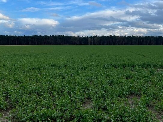 14,11 ha Grundbesitz in der Altmark bei Seehausen