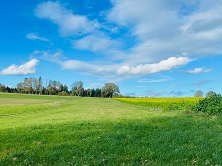 Grünland im nördlichen Bereich des Landkreises Mühldorf am Inn zu verkaufen!