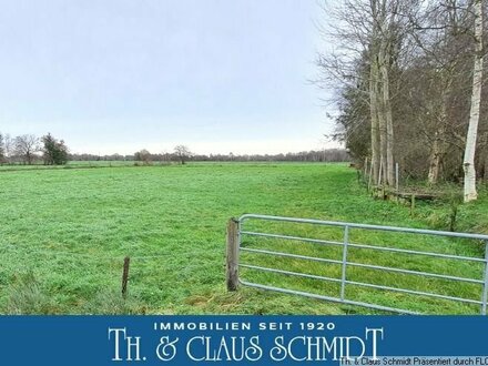 3 Hektar Grünland mit guter Zuwegung in Rastede/Barghornermoor