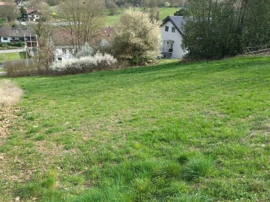 Baugrundstück mit Idyllischer Lage in Wollenberg