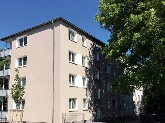 Wohn(t)raum: 3-Zimmer-Wohnung in Stadtlage