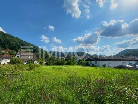 ** Traumhaftes Grundstück mit Blick zur Limburg **