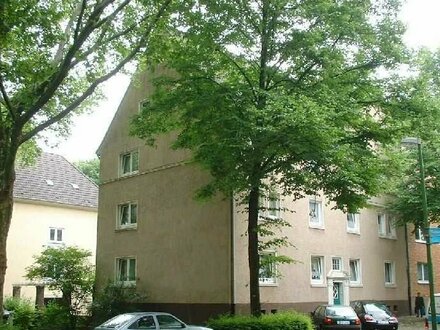 Große & Sanierte 3 Zimmer Wohnung in Essen Altendorf!