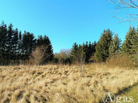 Bauträgerfreies noch zu teilendes ca. 880m² großes Grundstück in Ostseenähe