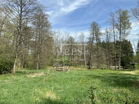 unbebautes, als Grünland genutztes Grundstück in Hirschfeld