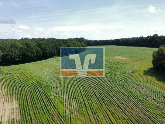 Exklusives Angebot - ca. 58 Hektar Ackerland mit Wald in Holdorf zu verkaufen!