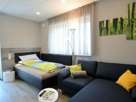 Schönes 1-Zimmer-Apartment modern & bequem, voll ausgestattet in Marktheidenfeld