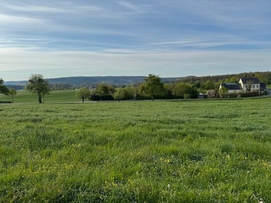 Herrliches Baugrundstück mit Blick ins Grüne! L- Echternach nur 15min!