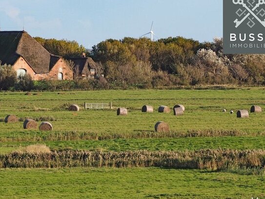 Exklusives landwirtschaftliches Grundstück - 18,11 Hektar für vielfältige Nutzungsmöglichkeiten!