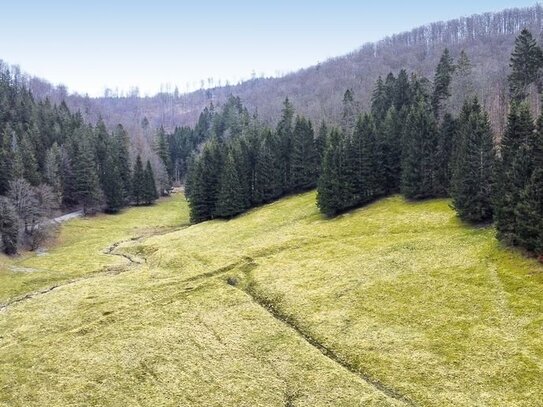 4,2 ha Grün- und Waldflächen nahe der Talsperre Schönbrunn