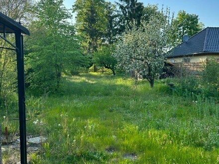 Baugrundstück mit Natur in Altlandsberg Bruchmühle